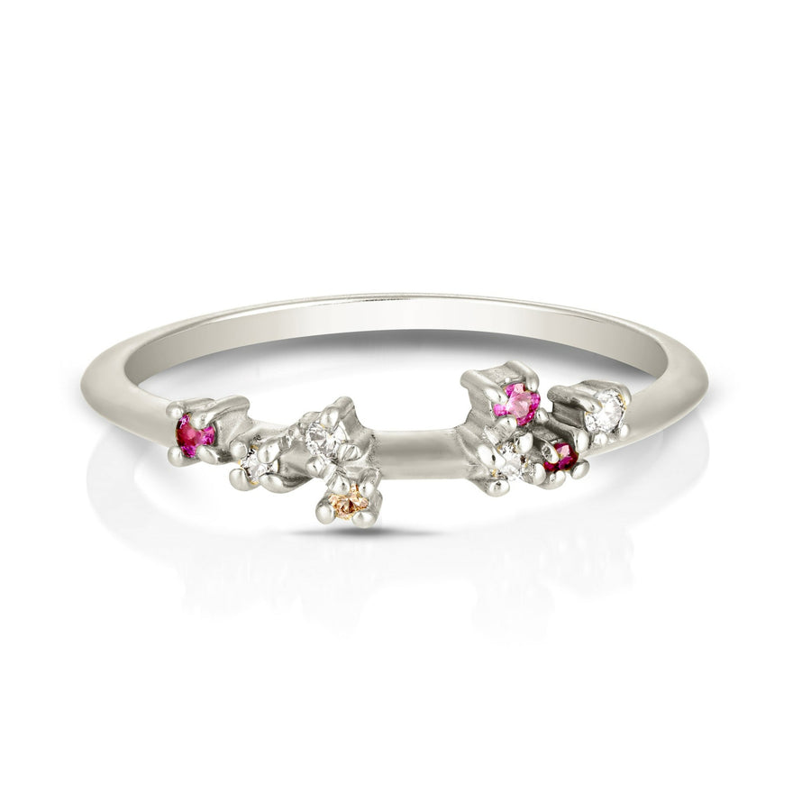 Ayla ring | rubies & champagne diamonds