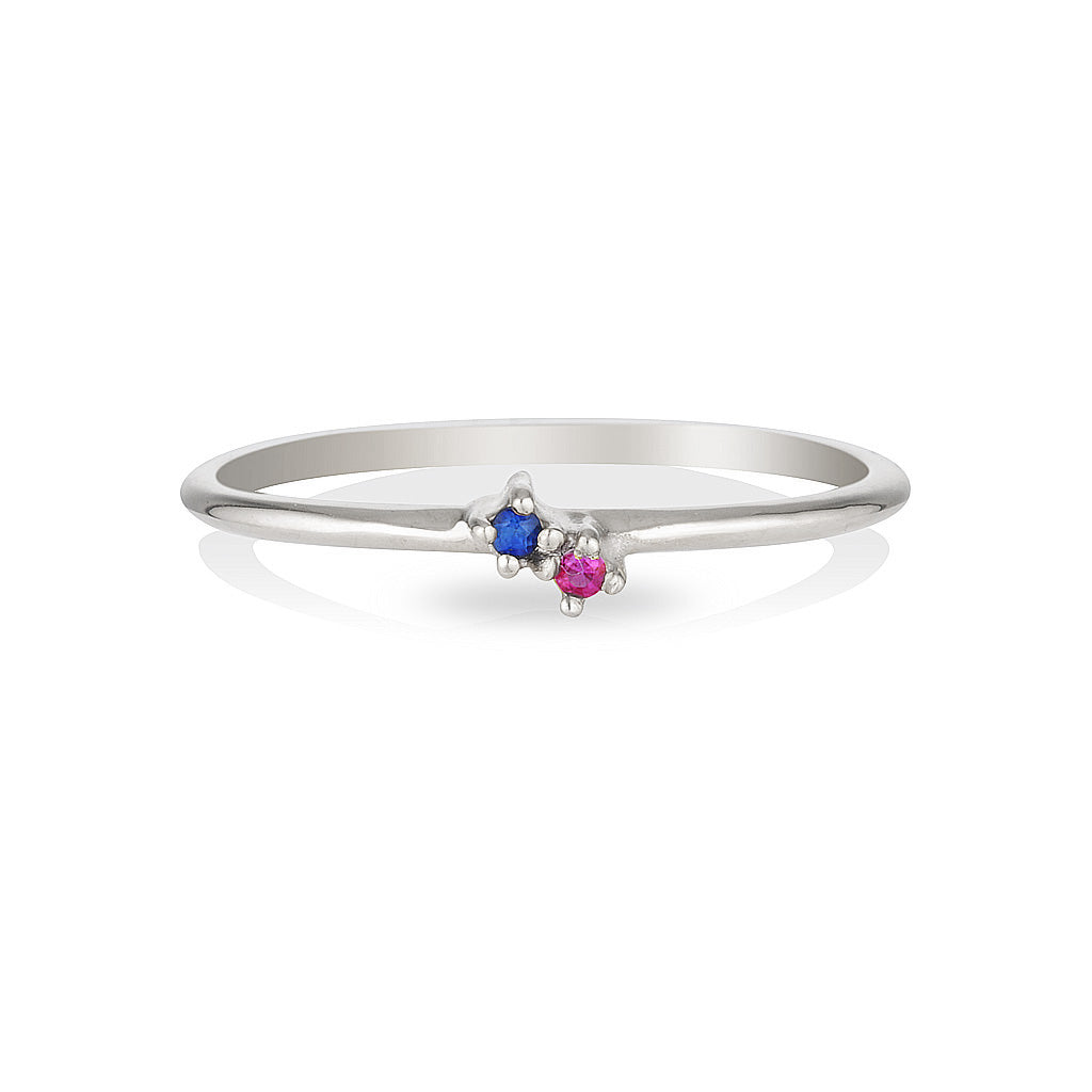 Twin Birthstone ring