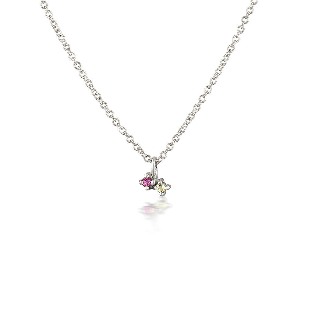 Twin Birthstone necklace