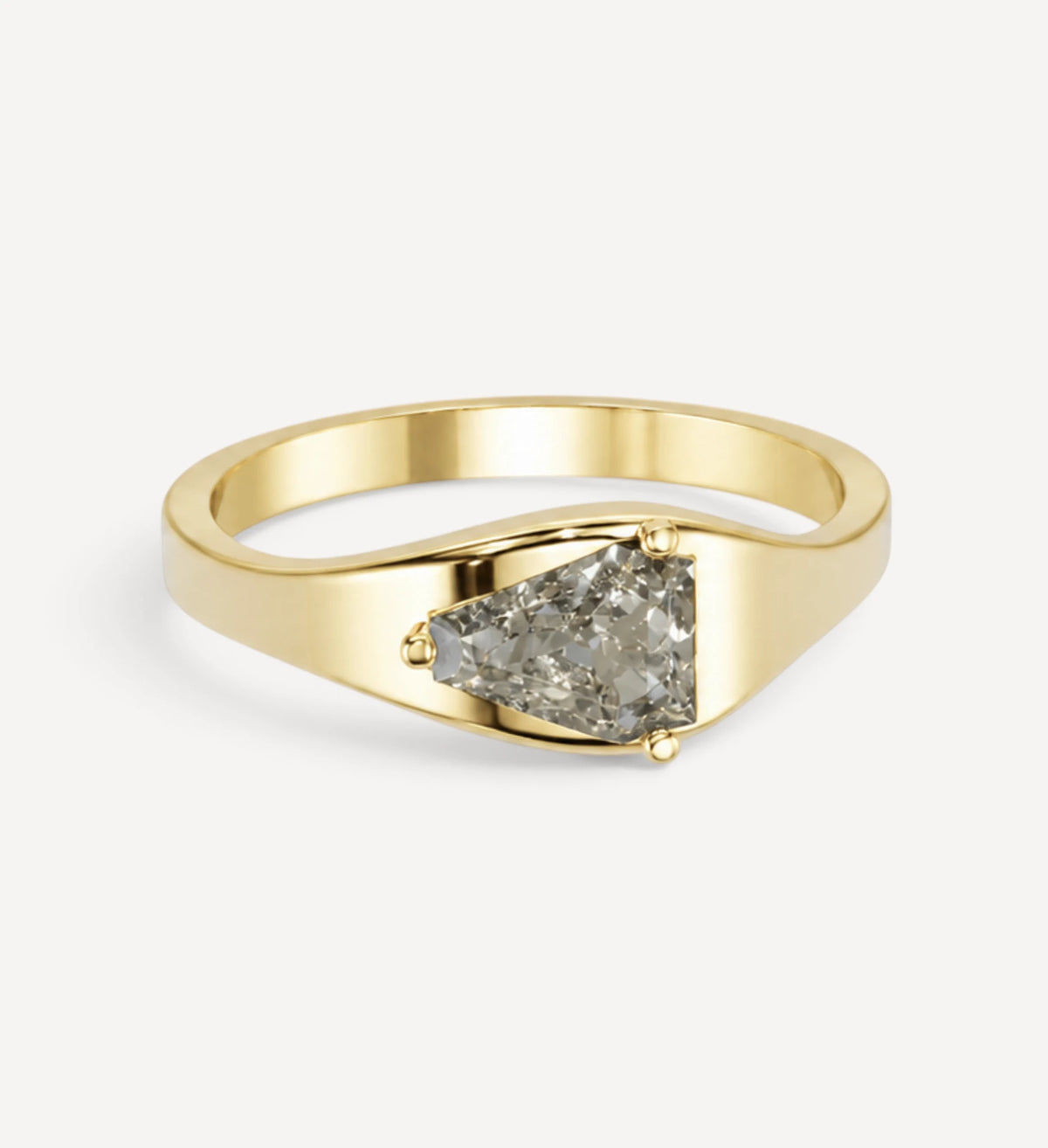 Salt & Pepper Diamond Signet | One Of A Kind