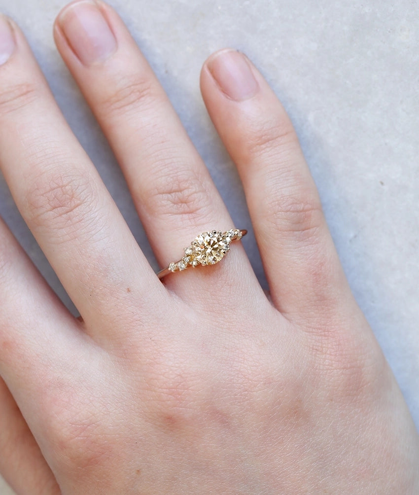 Sienna ring | round diamond