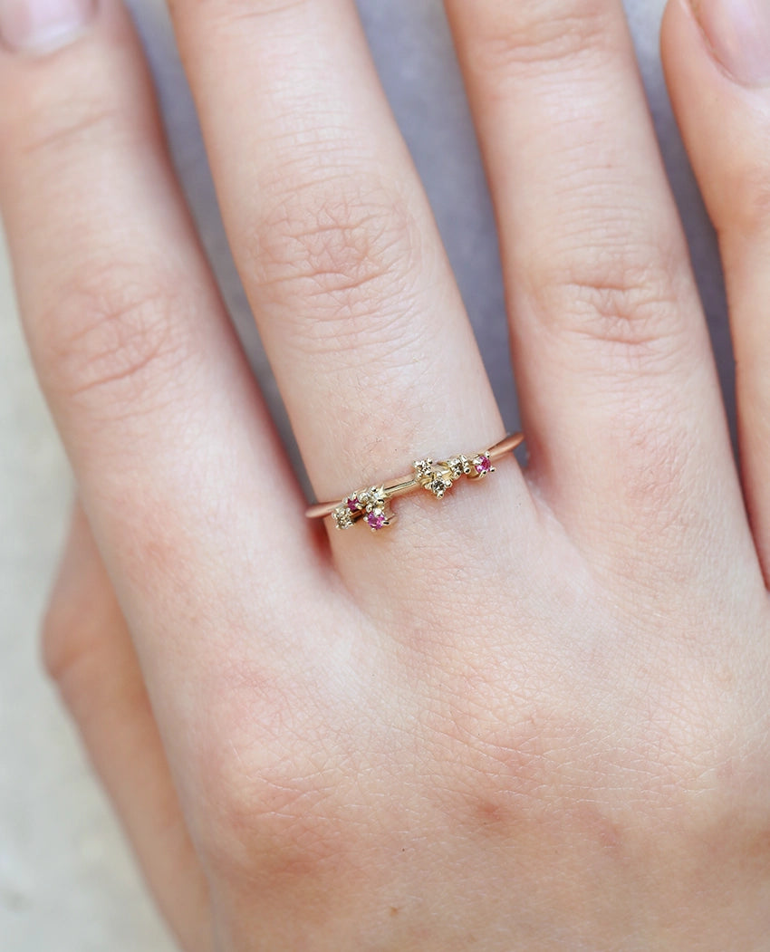 Ayla ring | rubies & champagne diamonds