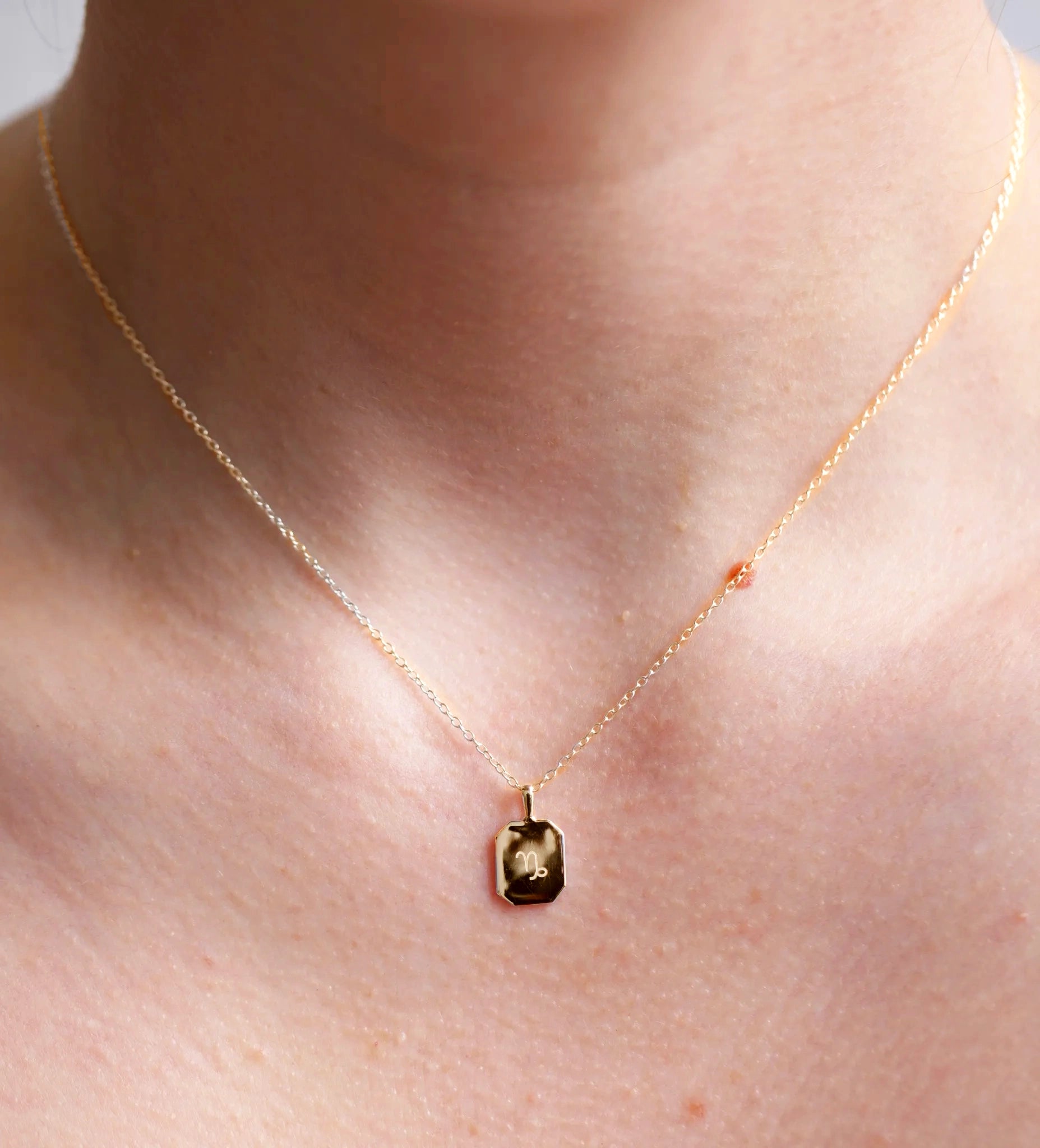 Zodiac Poem Necklace | Octagon