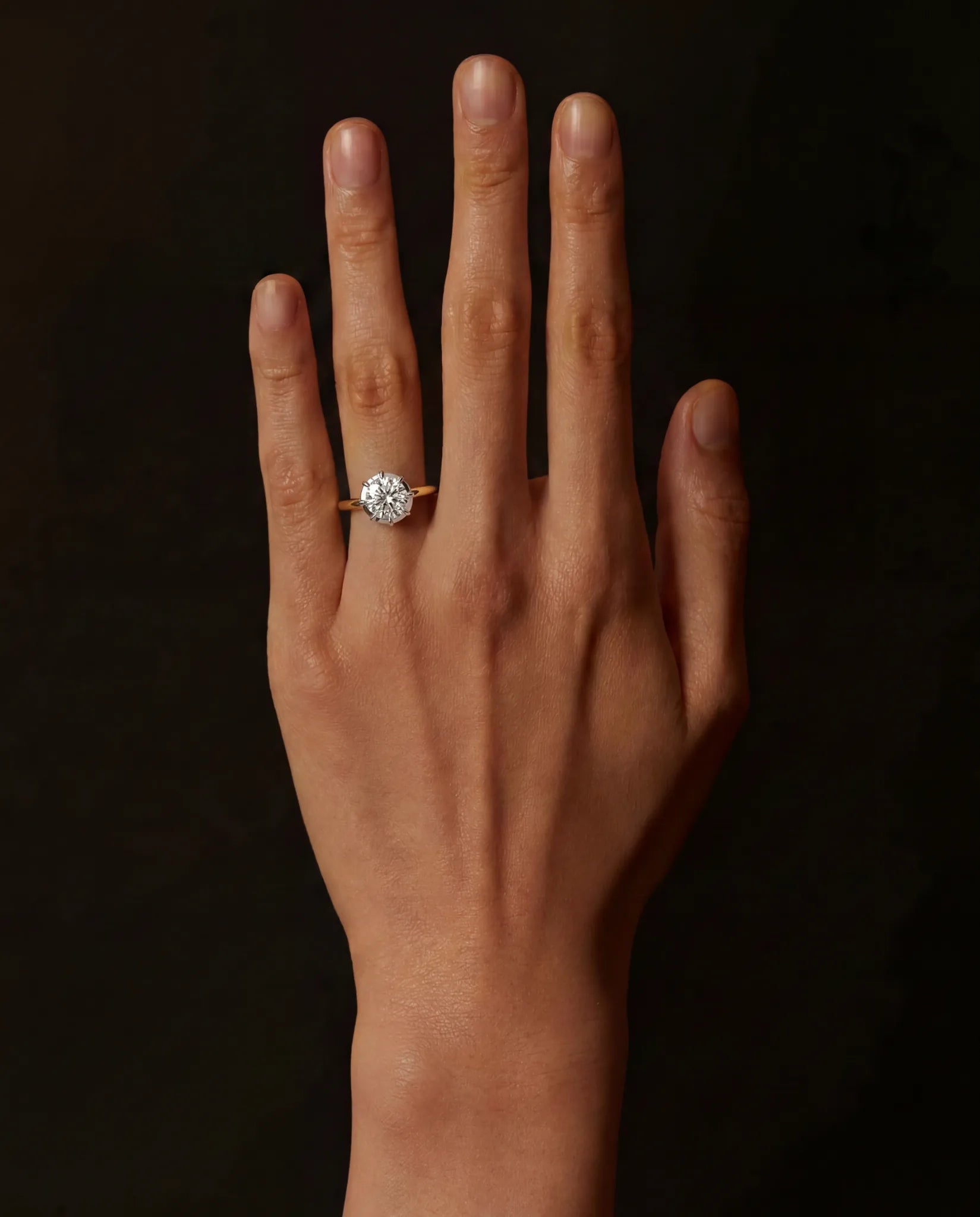 Minerva Solitaire | Round