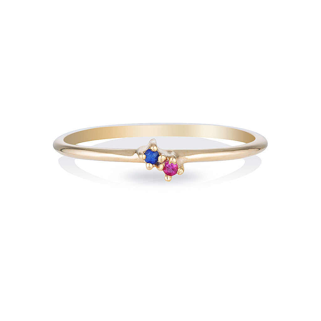 Twin Birthstone ring II